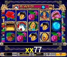 Live Casino xx77